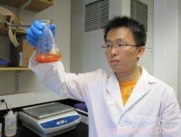 Selenium Nanoparticles Inhibit Staphylococcus on Medical Implants