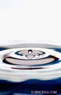 Palladium‑Gold Nanoparticles Outperform Iron Filings in TCE Remediation by a Billionfold