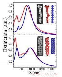 Polymorphic Plasmonic Chains: Repeating Nanoparticle Units Define Optical Properties