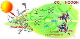 Graphene Boosts Efficiency of Artificial Photosynthesis System