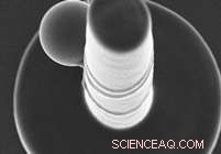 University of Maryland Team Innovates Nanostructure Fabrication for Advanced Sensors and Applications