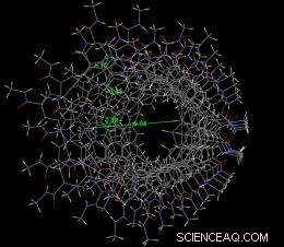 Scientists Pioneer Artificial Potassium Ion Channel, Mimicking Nature s Essential Process