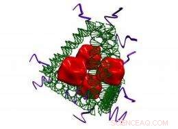 Researchers Pioneer Novel Synthetic Vaccine Class