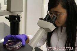 Researchers Pioneer Novel Synthetic Vaccine Class