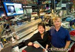 Unveiling a Novel Phenomenon in Nanodisk Magnetic Vortices