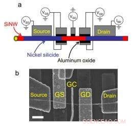 Physics Researchers Unveil First Undoped Silicon Nanowire Gate—A Breakthrough in Nanoelectronics