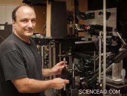 UH Secures $1M Keck Grant to Build Next-Gen Super-Resolution Microscope
