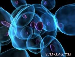 Harnessing Nano-Engineered Surfaces to Direct Cellular Functions