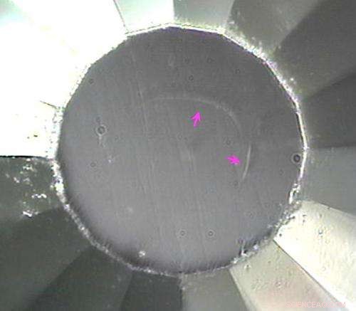 Physicists Discover Novel Superhard Carbon Phase under Extreme Pressure