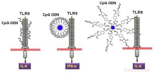 Boosting the Effectiveness of Immunostimulatory Nucleic Acid Therapies