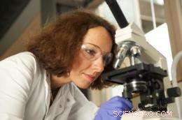 Green Tea Compound Shows Promise in Cancer Therapy