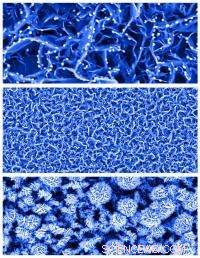 New Biosensor Detects Glucose in Saliva and Tears for Diabetes Monitoring
