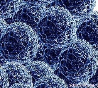 Advanced Imaging Technique Reveals Nanoparticle Electrocatalysis Dynamics