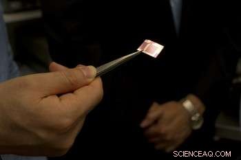 How a Small-Scale Microchip Solution Drives Big Impact