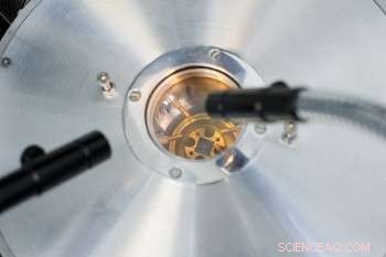 How a Small-Scale Microchip Solution Drives Big Impact