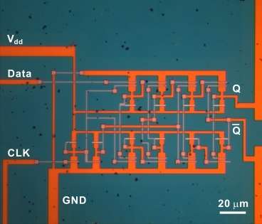 Researchers Build Complex Circuits Using Molybdenum Disulfide, a One-Molecule-Thick Material