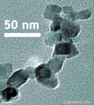 NIST Reference Material Promises Enhanced Accuracy in Nanomaterial Toxicity Studies