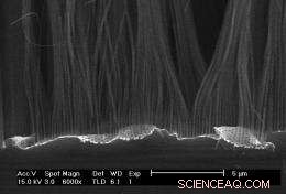 Recycling Waste Silicon into Advanced Lithium‑Ion Battery Anodes