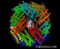 Revolutionary Nanobio Catalyst Enhances Biofuel Production