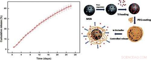 New Research Demonstrates Controlled Release of Macromolecules for Improved Therapeutic Outcomes