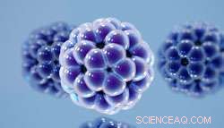 Innovative Molecules Cut Wear in Sliding and Rolling Machines