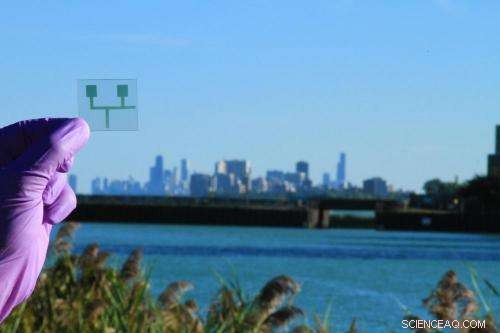 Nanostructured Velcro-Like Clamps Capture Heavy Metal Ions for Efficient Water Testing