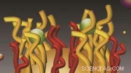 Nanostructured Velcro-Like Clamps Capture Heavy Metal Ions for Efficient Water Testing