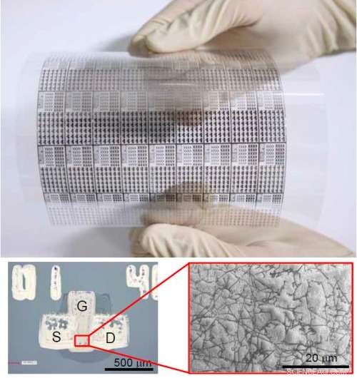 Nagoya University and Bando Chemical Industries Pioneer Flexible Carbon Nanotube Display via Flexographic Printing