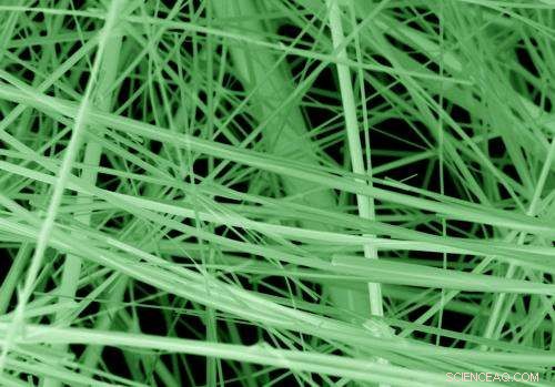 Exploring Vanadium Oxide Bronze as a Silicon Replacement in Microchips