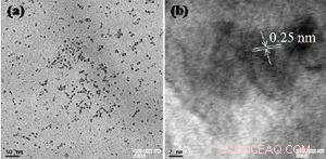 Water‑Soluble Carbon Dots Promise Superior Bioimaging and Diagnostic Precision