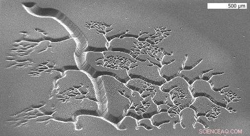 Nanoengineers Rapidly Print 3D Blood Vessels in Seconds Using Biocompatible Hydrogels