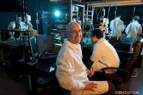 Scientists Reveal Mechanisms of Nanoparticle Self‑Assembly into Targeted Structures