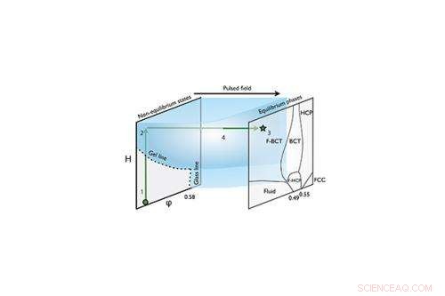 Scientists Reveal Mechanisms of Nanoparticle Self‑Assembly into Targeted Structures