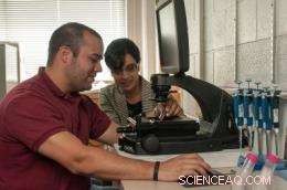 Nanoparticle-Enhanced Drug Delivery Targets Cell Mitochondria to Increase Efficacy