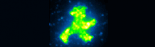 Nanosciences: Precise Protein Assembly Enables Advanced Biofactories