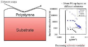 Polymer Chain Dynamics on Diverse Substrates: Insights from XPCS