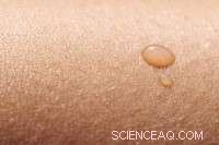 Study Finds Nanoparticles Do Not Penetrate Human Skin