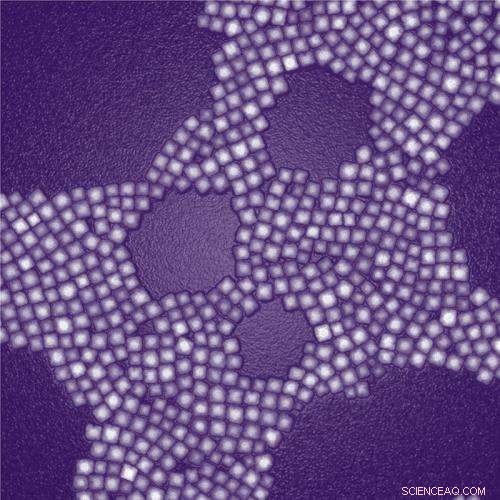 Bright Nanoparticles Enable Deep‑Tissue Imaging Through Dense Biological Layers