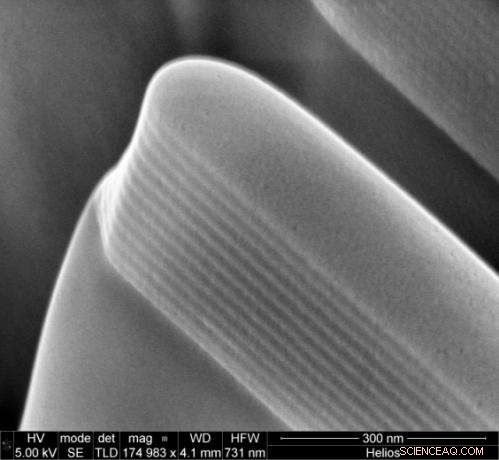 Photonic Gels: Vibrant, Water‑Sensitive Color Sensors