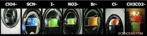 Photonic Gels: Vibrant, Water‑Sensitive Color Sensors