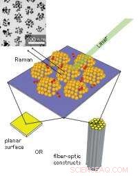 Gold Nanocluster Arrays Enhance SERS Sensor Performance, Researchers Report