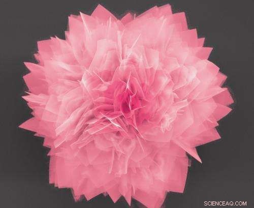 Innovative Nanoflower Structures Boost Energy Storage and Solar Cell Performance