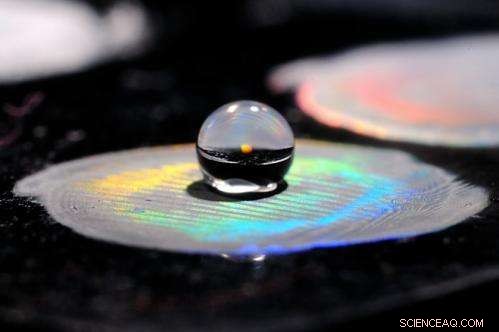 Scientists Develop Innovative Technique to Mimic Butterfly Wing Color and Texture