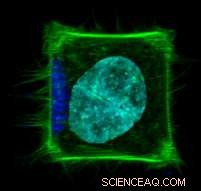 Harnessing Magnetic Nanoparticles to Manipulate Thousands of Cells in Parallel