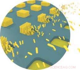 Nanostructures Outshine Gold: New Innovations Offer Superior Value