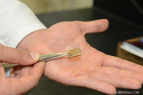 Stanford Unveils First All‑Carbon Solar Cell