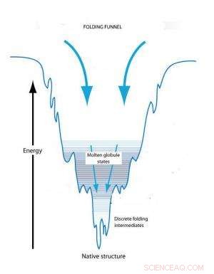 Folding Funnels: Unlocking Biomimicry s Potential