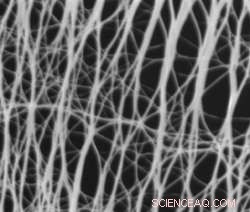 Rice University Breaks Ground with Transparent, Flexible Carbon Nanotube Films for Next‑Gen Touchscreens