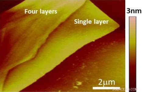 Revolutionary 2D Semiconductor Offers Ideal Band Gap for Solar Energy Harvesting