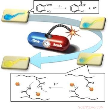 Japanese Scientists Pioneer Precise Drug Delivery Using Smart Hydrogels